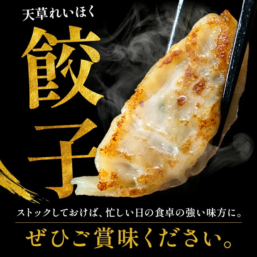 天草れいほく餃子 12個入×3パック 計312g Ethical foods TATSUMI