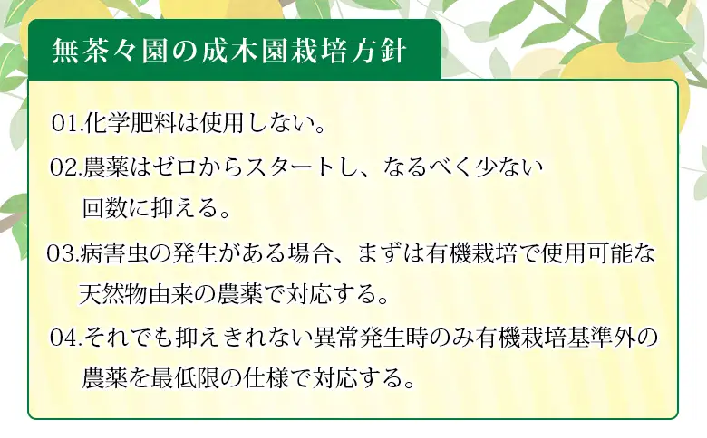 ＜無茶々園のひょう柑ジュース 720ml 3本＞『1か月以内に順次出荷予定』柑橘 果物 オレンジ フルーツ ストレート 果汁100% ひょう柑 ひょうかん ヒョウカン 丸ごと 文旦系 さわやか 飲みやすい 飲んで応援 特産品 無茶々園 愛媛県 西予市 【常温】AMC0070
