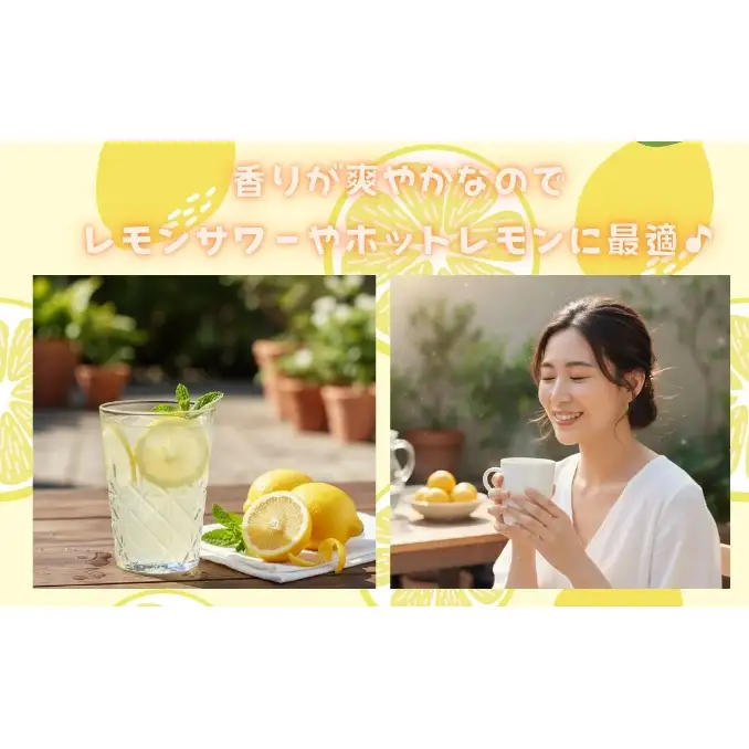 【 かんきつ 3種 定期便 】アレンユーレカ種 レモン ・ せとか ・ いよかん 各約1.5kg　ご家庭用 サイズお任せ 旬 農園直送 産地直送 フルーツ 果物 くだもの 柑橘 愛媛県 東温市