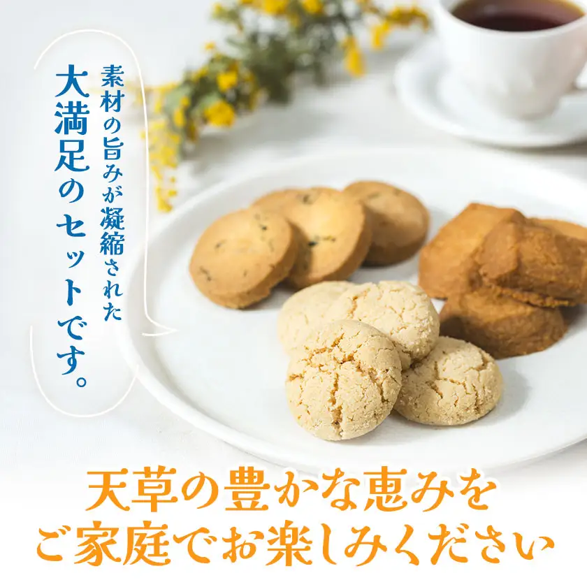 クッキーサブレセット 各約170g×3種 計約500g 株式会社かねこ