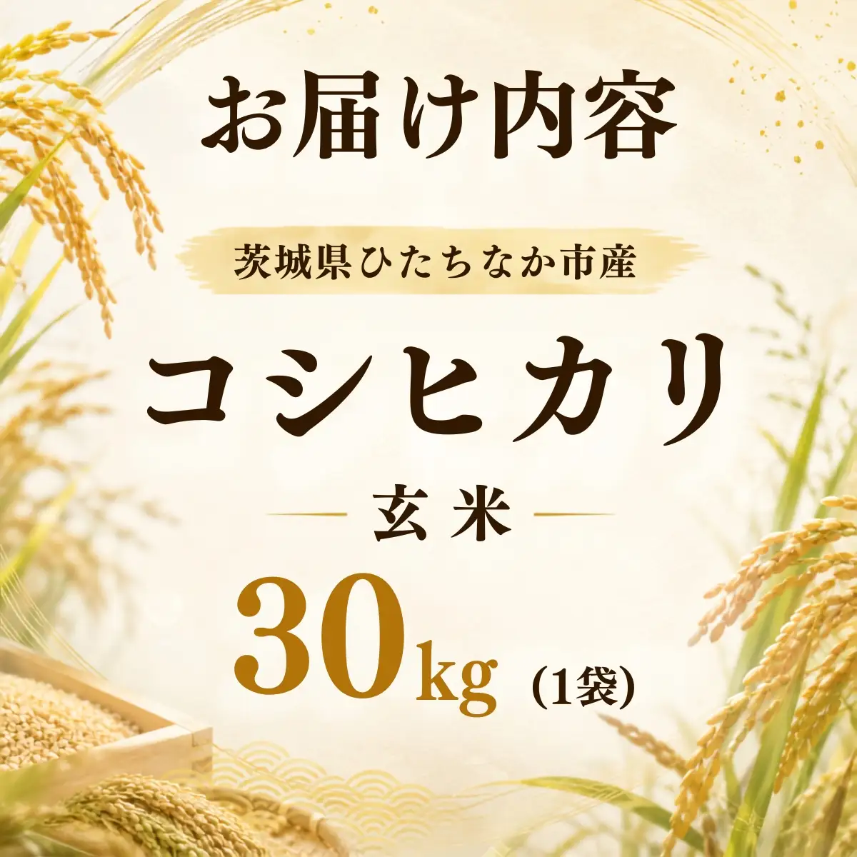 令和8年度新米 コシヒカリ 玄米 30kg  | 新米 お米 こしひかり コシヒカリ  