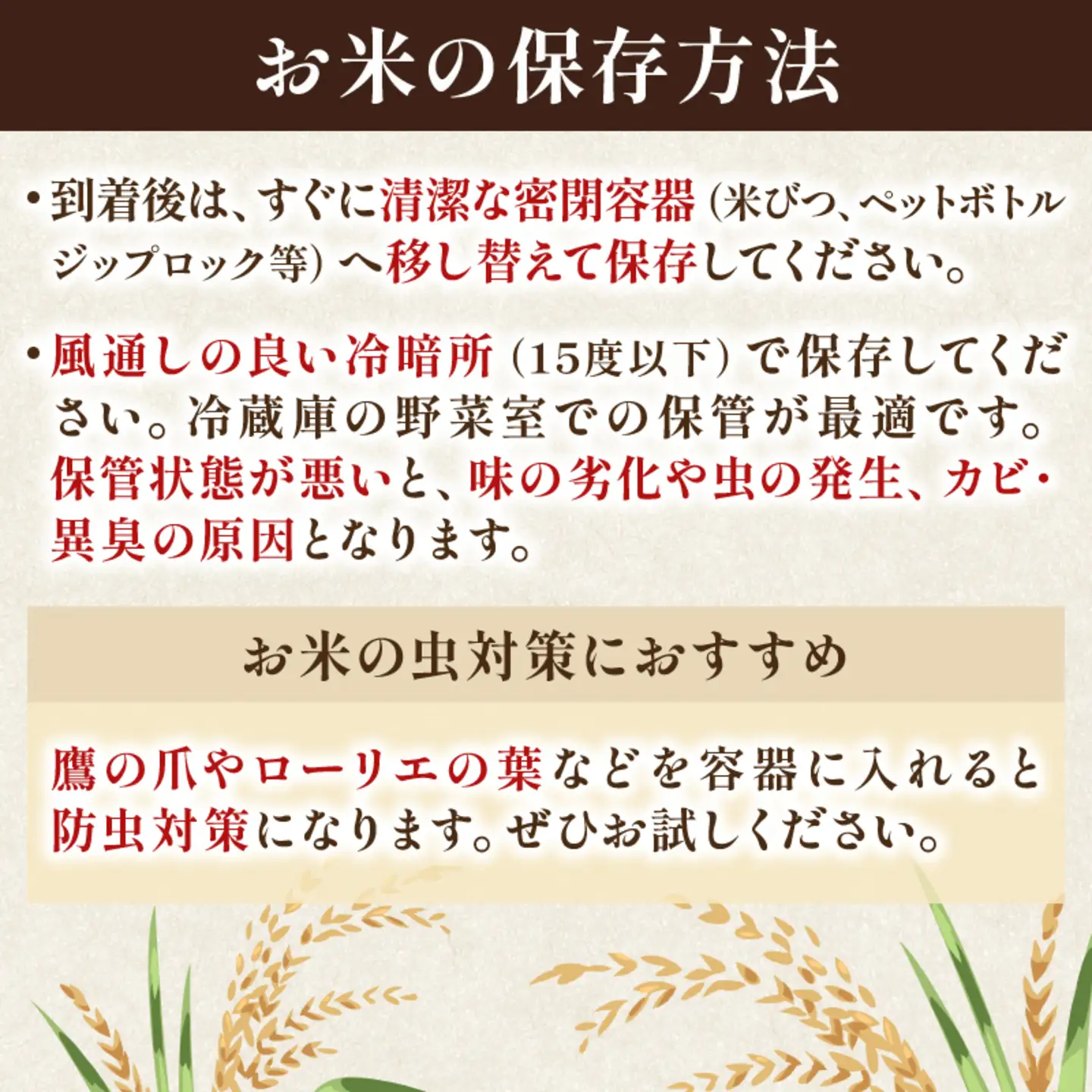 令和8年産 米 コシヒカリ 5kg 【お米】