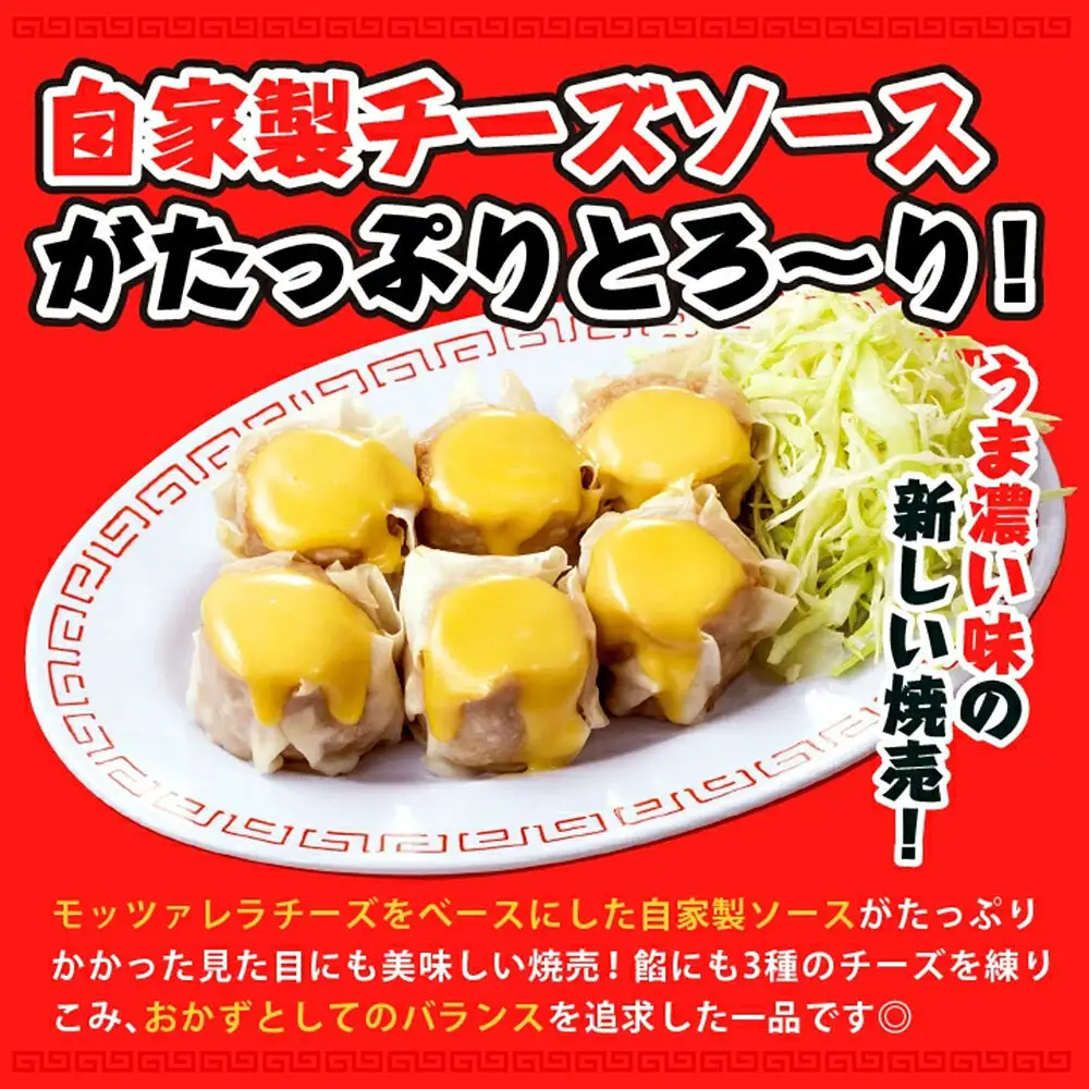 大阪王将 焼売堪能セット 6個入り 2種 6袋セット（なにわ×3袋・チーズ×3袋）