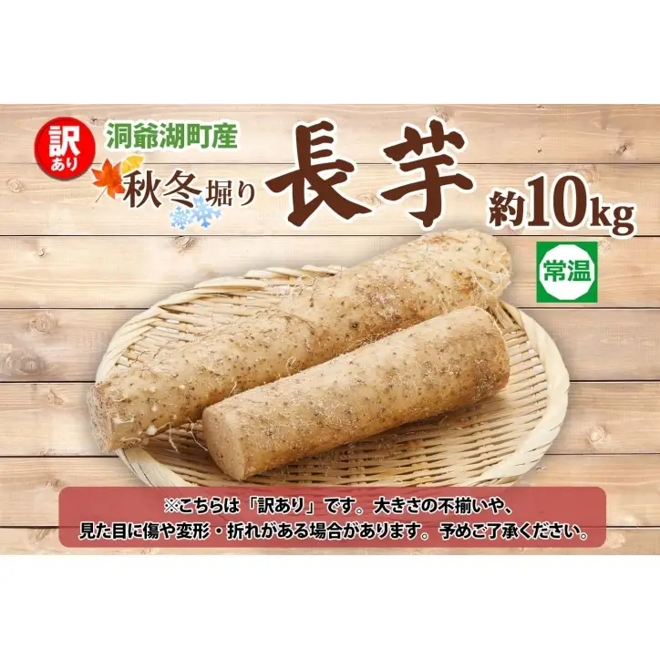 洞爺湖町産 訳あり 長芋 約10kg 2026年12月上旬から順次お届け 長いも