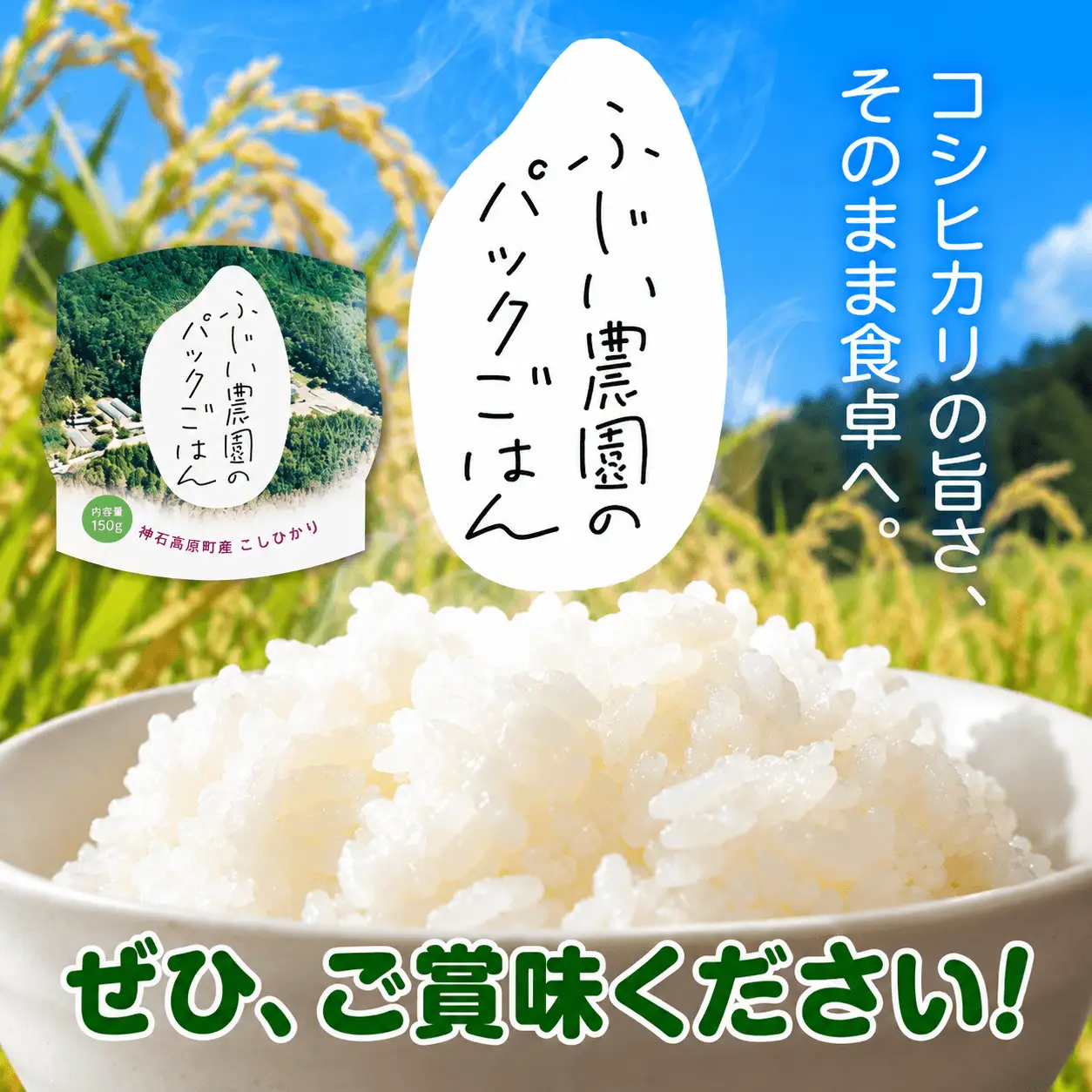 【ふるさと納税】パックごはん 150g×3個 神石高原町産こしひかり使用 レンジで簡単 常温保存 国産米