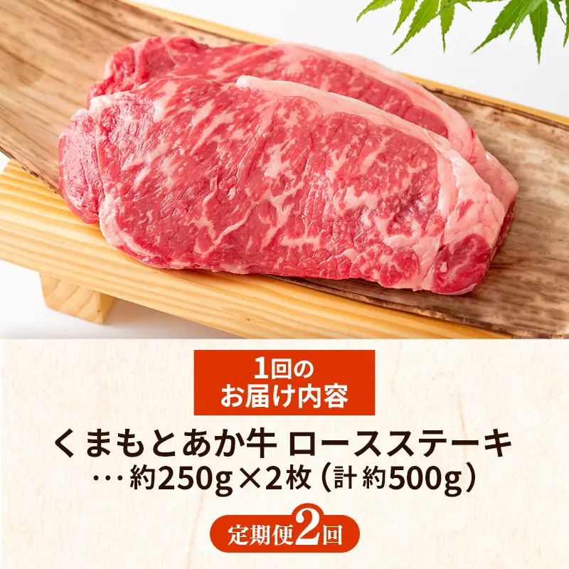 【定期便2回】 GI 認証 くまもとあか牛 ロースステーキ 約500g - 肉 牛肉  和牛 熊本県 甲佐町