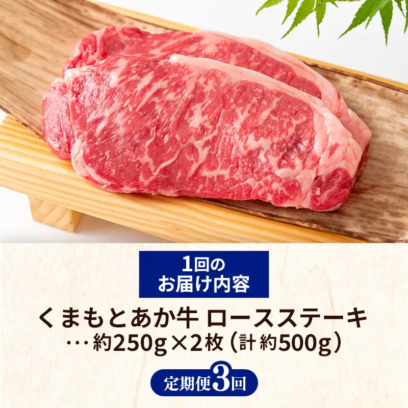 【定期便3回】 GI 認証 くまもとあか牛 ロースステーキ 約500g - 肉 牛肉  和牛 熊本県 甲佐町