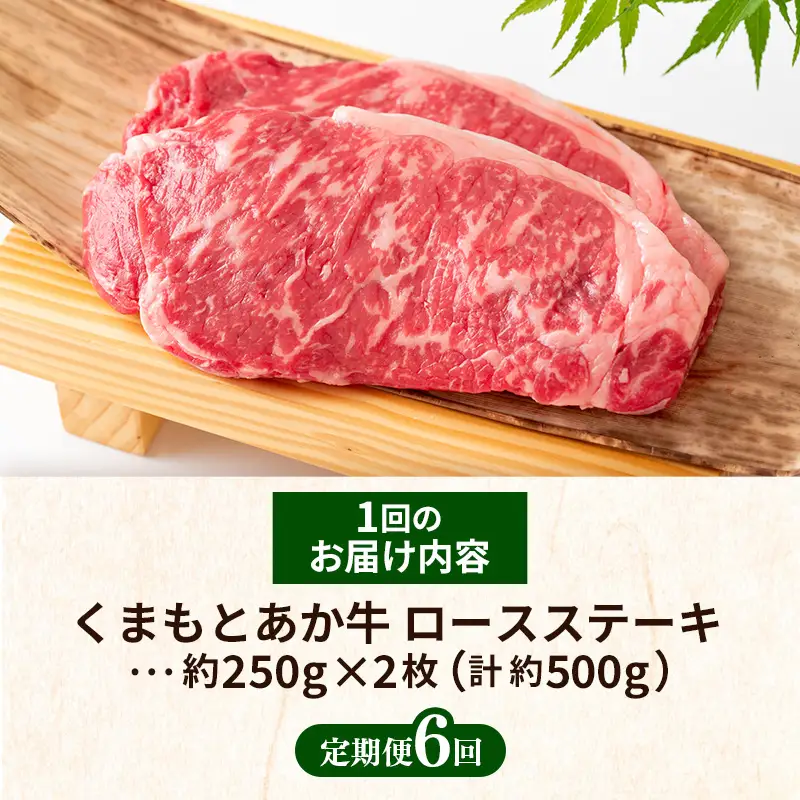 【定期便6回】 GI 認証 くまもとあか牛 ロースステーキ 約500g - 肉 牛肉  和牛 熊本県 甲佐町