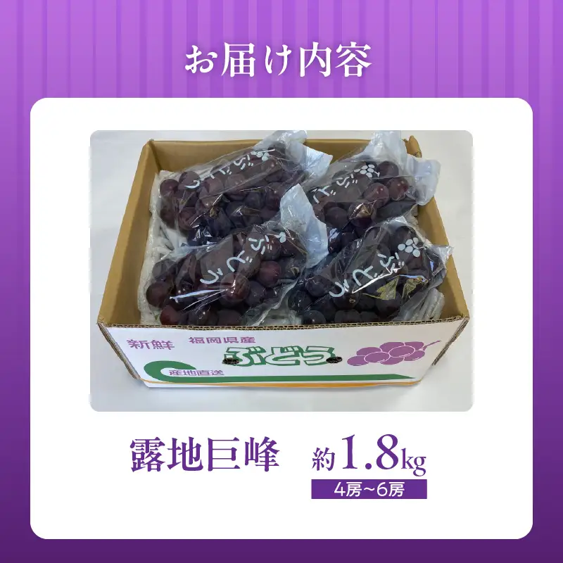 【8月中旬より順次発送】池尻農園 露地巨峰4房～6房 約1.8kg 〔Fg019-01〕