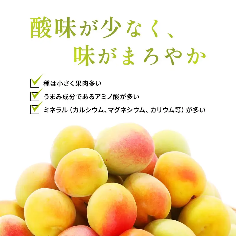 【ふるなびWEEK対象】 梅酒 年間1000本 BENICHU19 750ml 梅酒