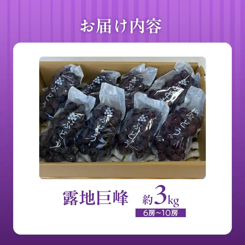 【8月中旬より順次発送】池尻農園 露地巨峰6房～10房 約3kg 〔Fg019-02〕