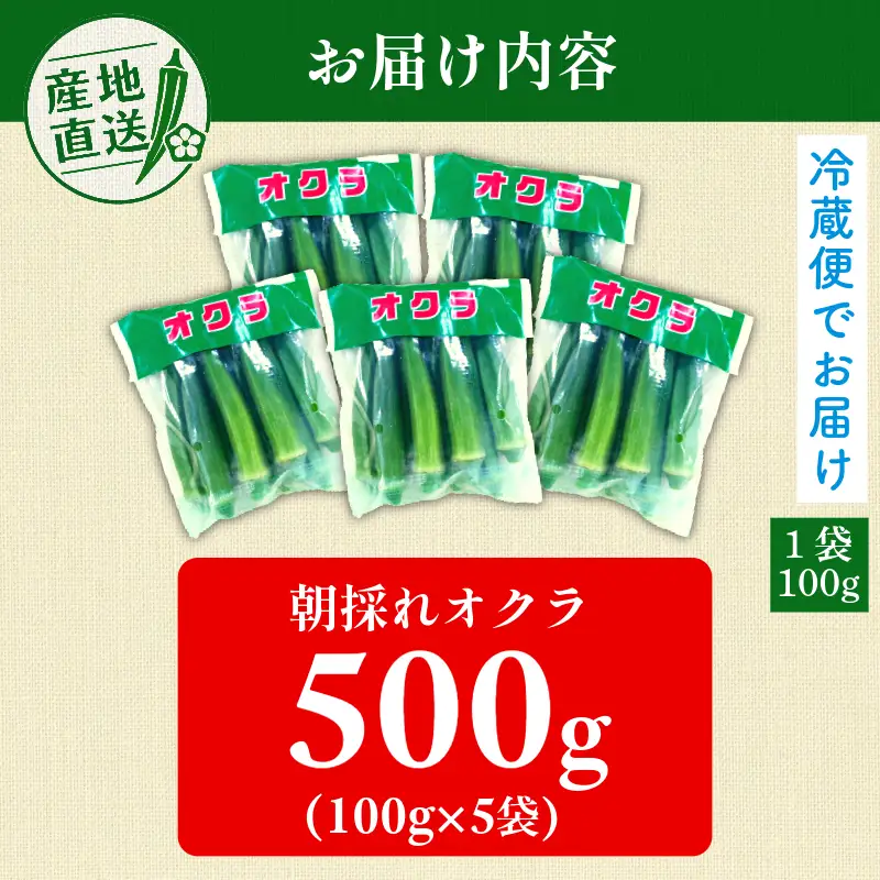 【6月下旬から発送】オクラ 500g 新鮮 朝採れ 選べる 容量 小分け おくら 朝どれ 野菜 夏 夏野菜 旬 サラダ 冷蔵 農地直送 国産 小松島市 