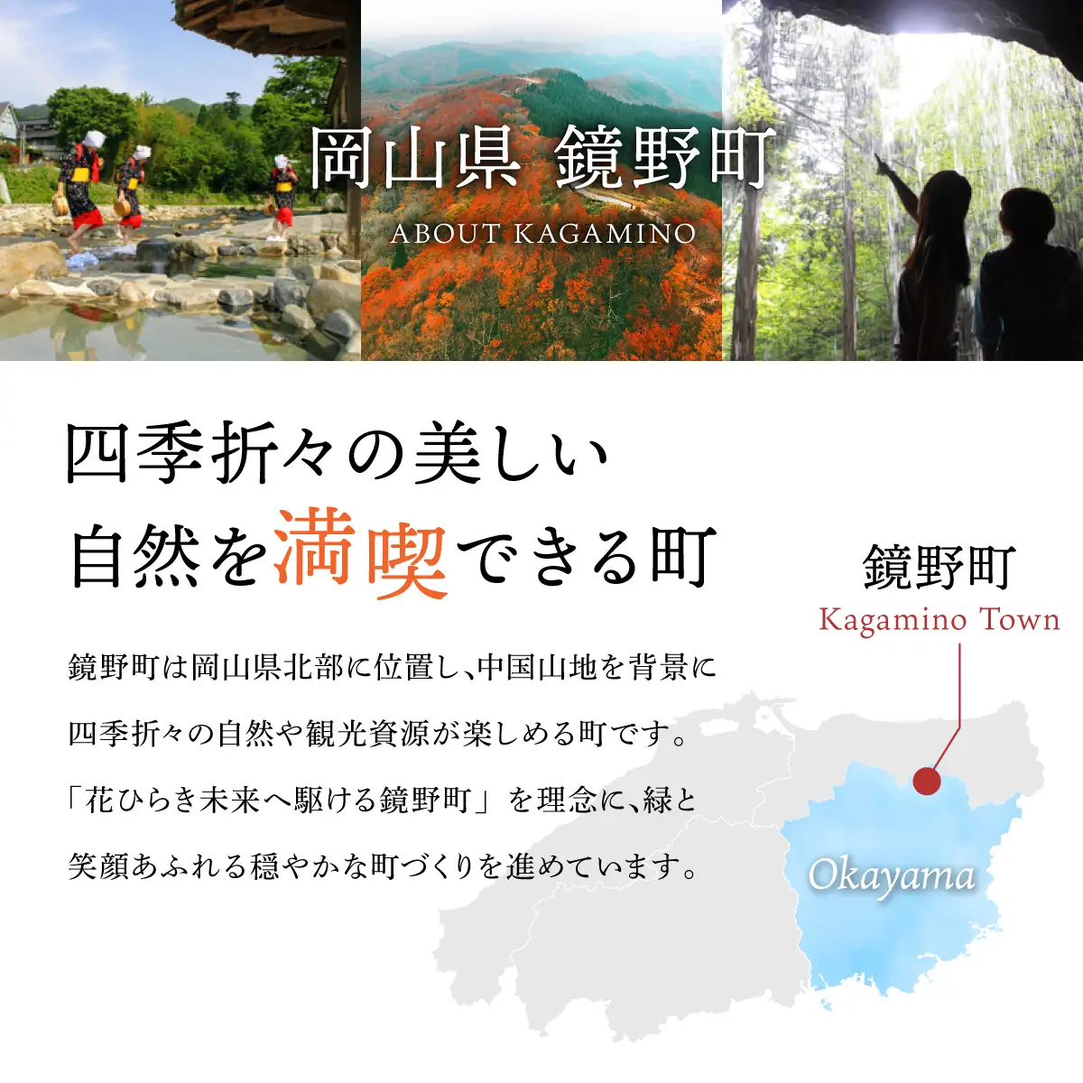 【先行予約・2026年11月上旬より発送】 鏡野町産 きぬむすめ 玄米5kg【050-a007】数量限定 米 お米 こめ コメ きぬむすめ 食味ランキング 特A 米 岡山県 鏡野町 送料無料