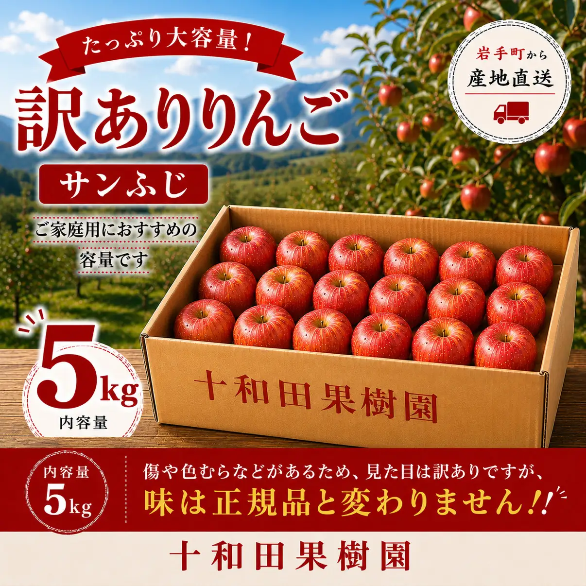 りんご 訳あり サンふじ 約5kg 令和8年産 先行予約