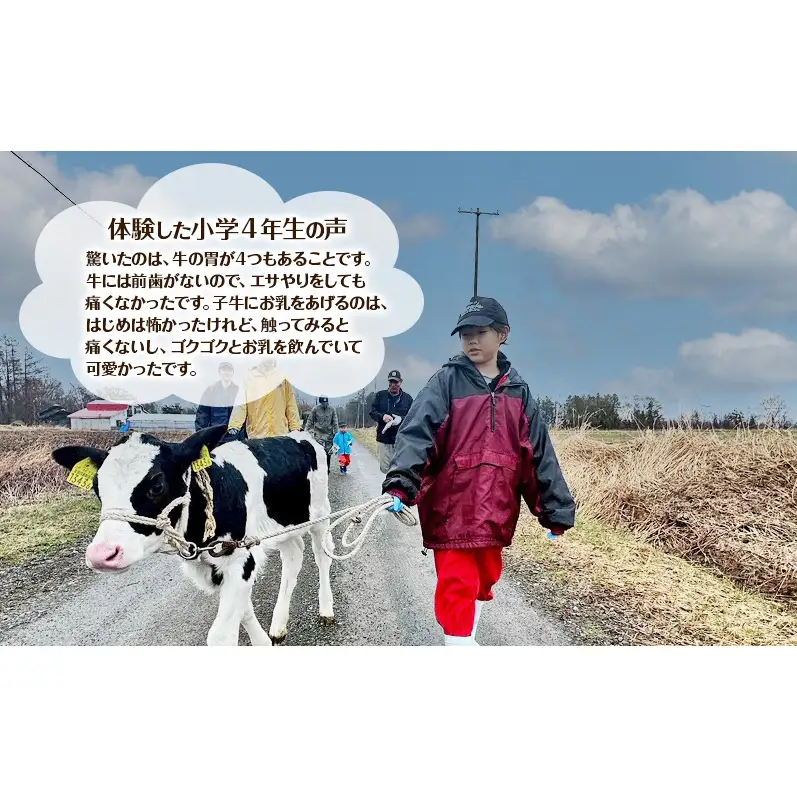 酪農体験チケット 大人1名・子供2名 【 体験チケット 酪農 北海道 幕別町 牛 搾乳 牧場 自然 】
