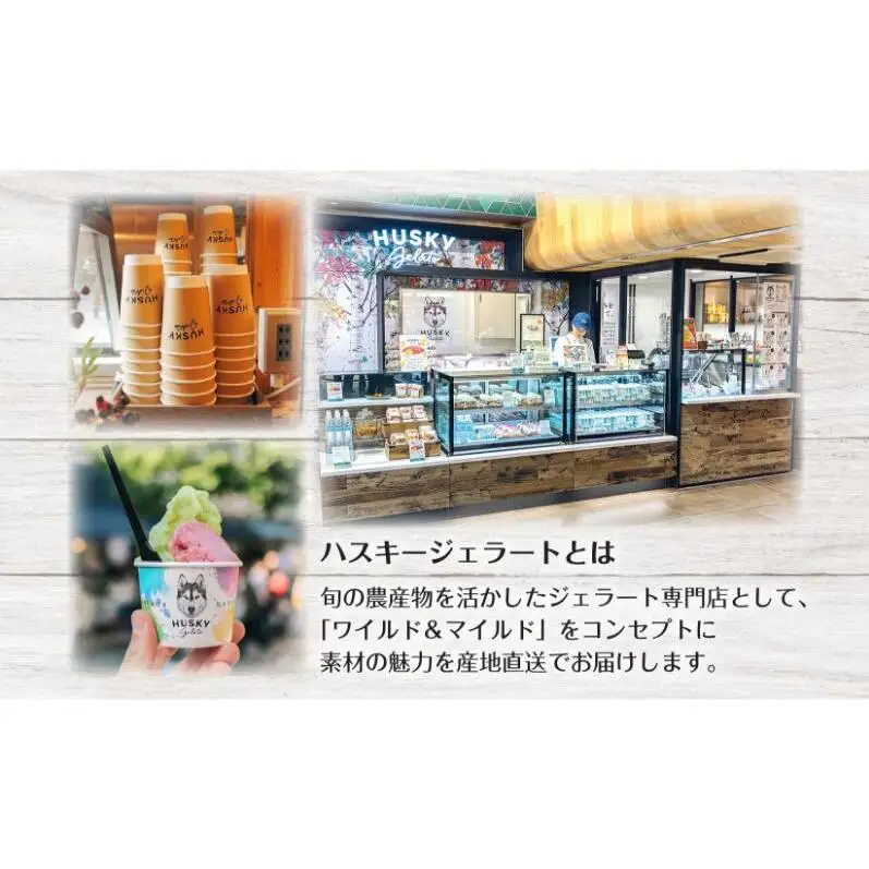 ハスキージェラート 定番6種アソートセット ジェラート アイス ハスキー ミルク ショコラ 静岡抹茶 カッサータ レモンヨーグルト 黒糖バナナ 6個 アソート デザート スイーツ おやつ お取り寄せグルメ ご当地 送料無料 新潟県 新潟市