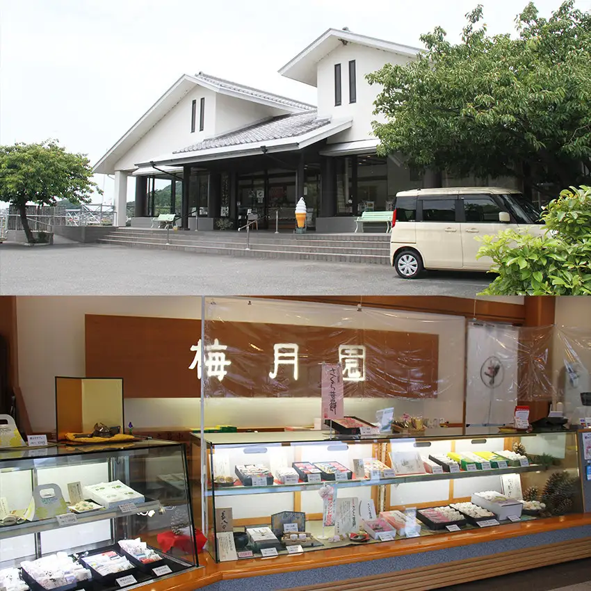 梅月園 松かさ最中 16個入