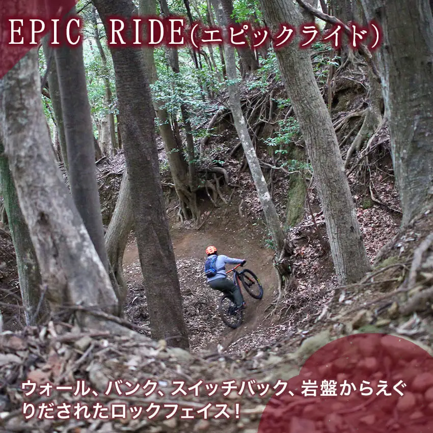 中級者 上級者向き 伊豆 マウンテンバイクツアー ガイド付き