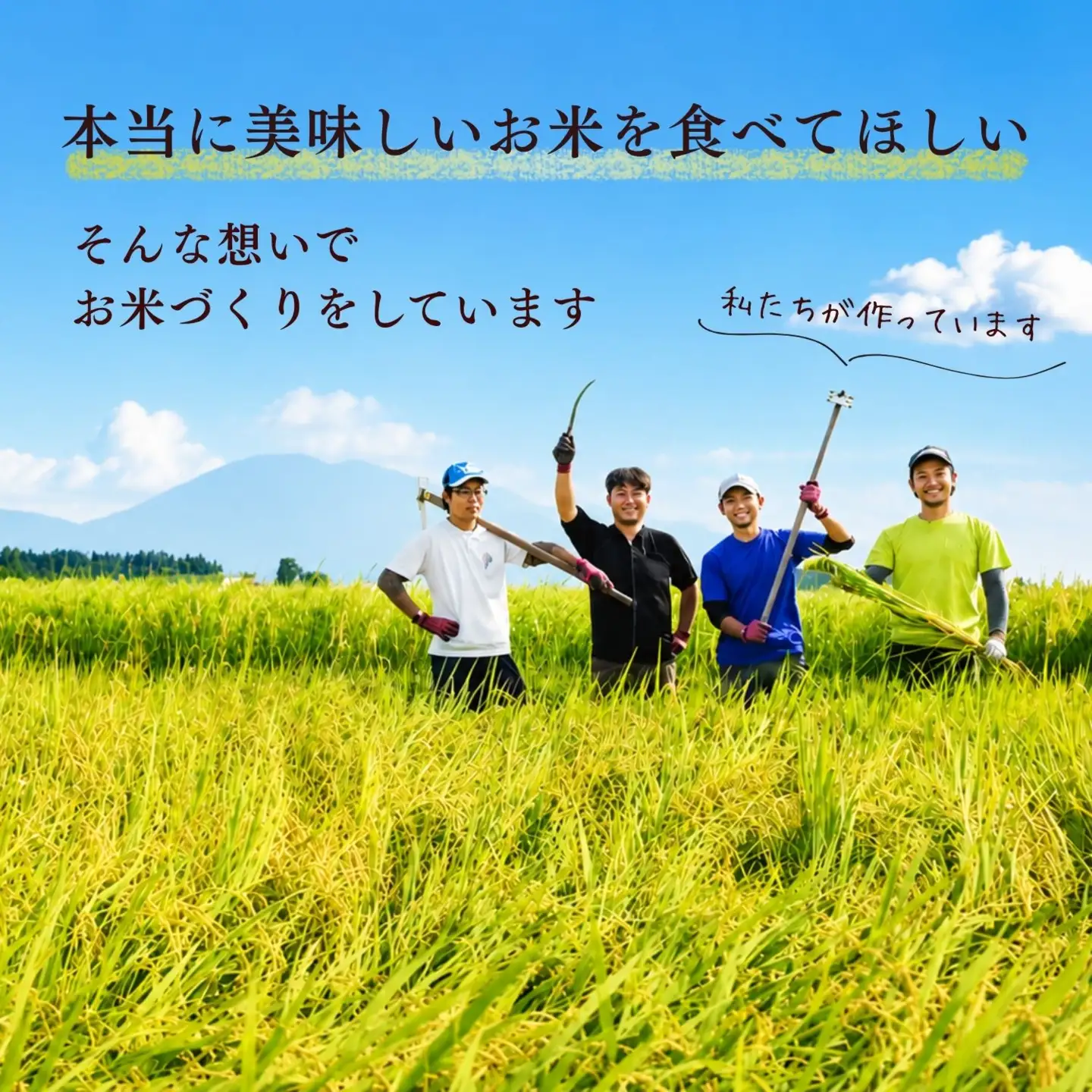 《2026年11月開始》【定期便5㎏×6回】にじのきらめき 精米 瑞穂 豊米 