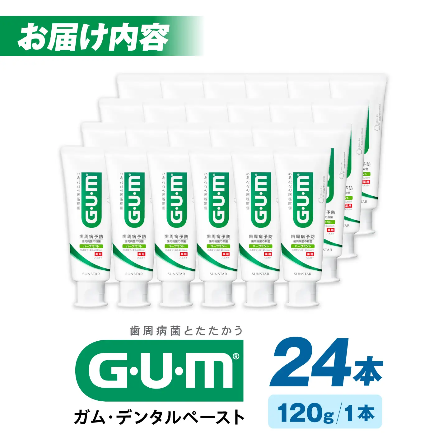 GUM デンタルペースト(ST) 120g×24本 大阪府高槻市/サンスター[AOAD078]