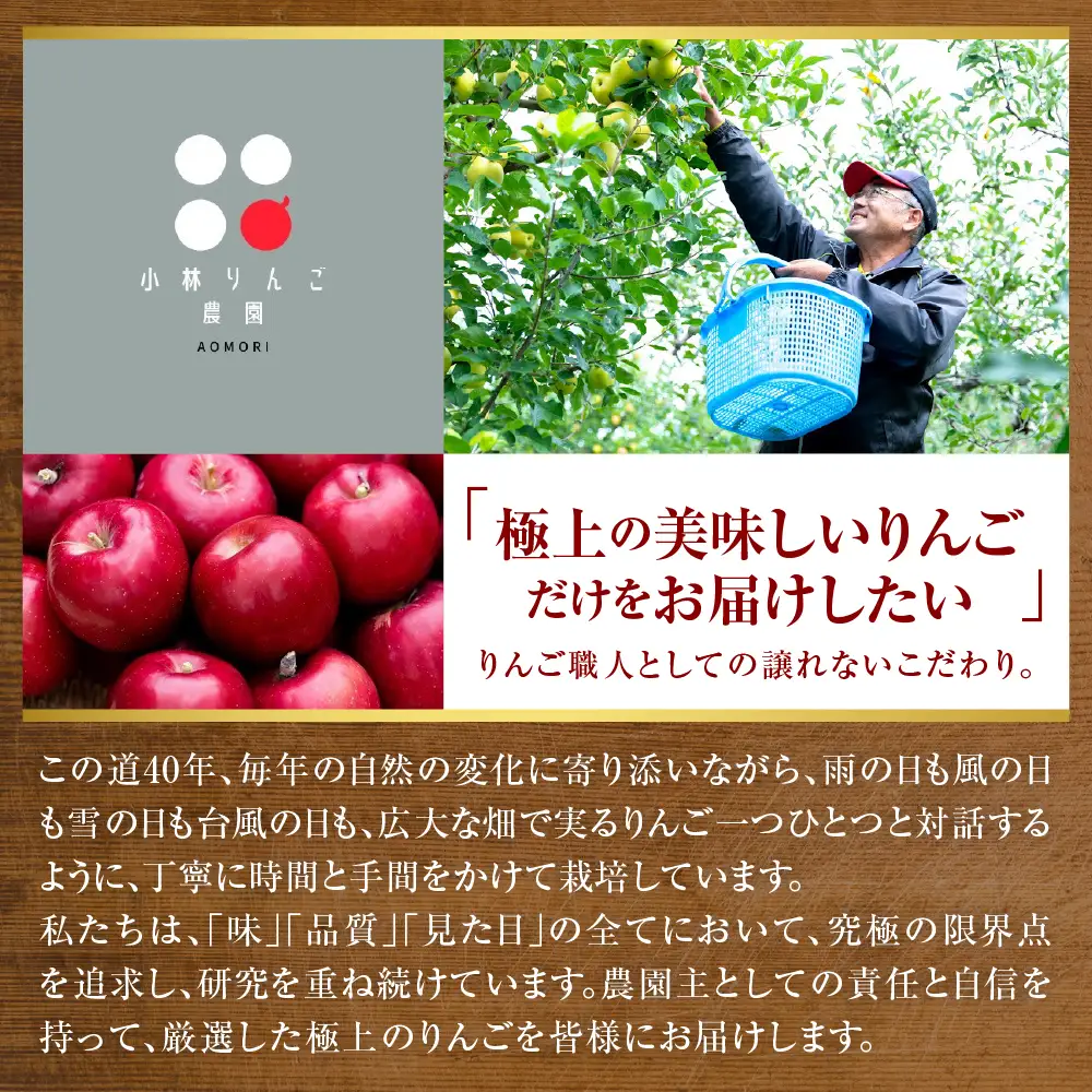 りんご　トキ約5kg 訳あり 10月中旬以降発送青森県五所川原市 りんご