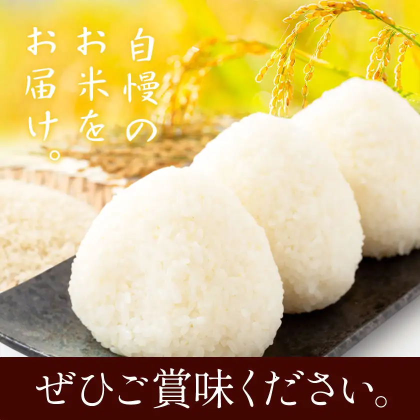あきの舞 米 5kg《30日以内に出荷予定(土日祝除く)》