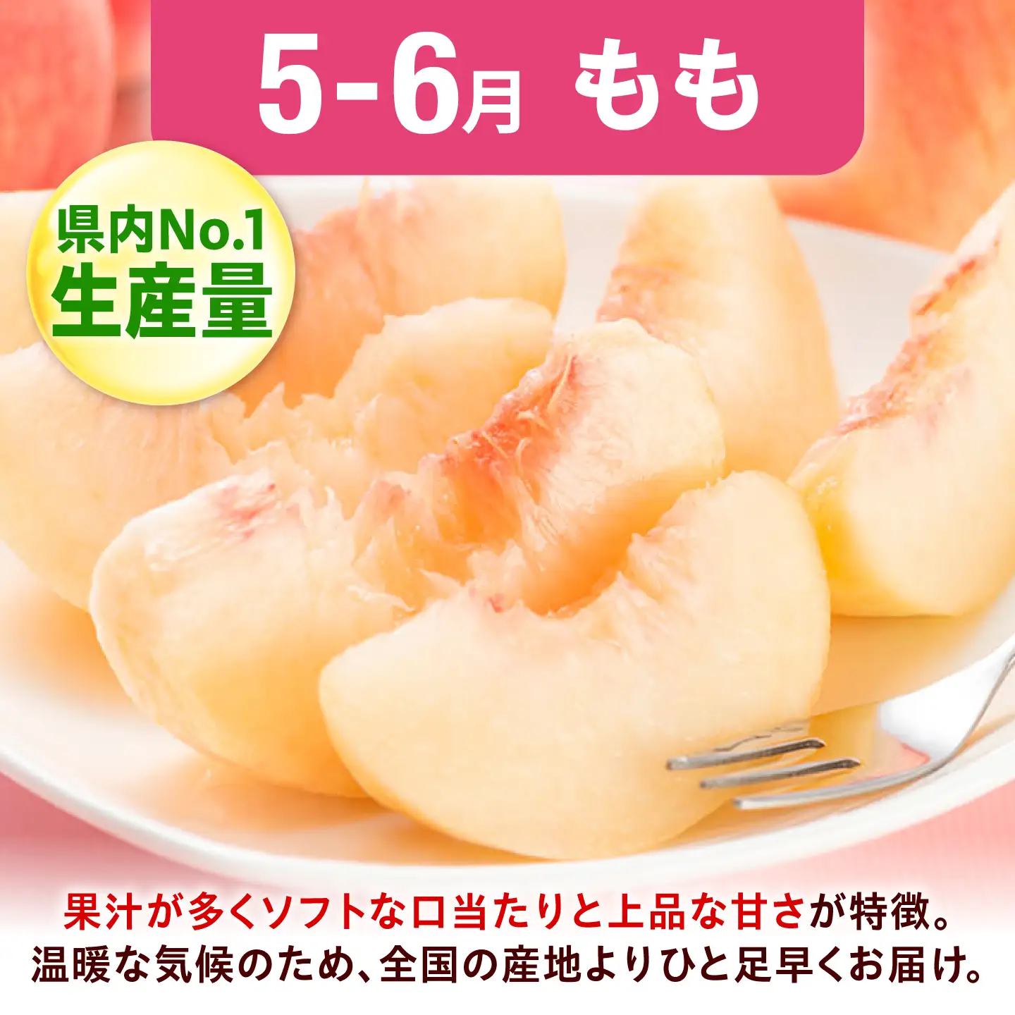 【2回定期便】フルーツ定期便（びわ/桃） 広川町 / JAふくおか八女農産物直売所どろや[AFAB120]