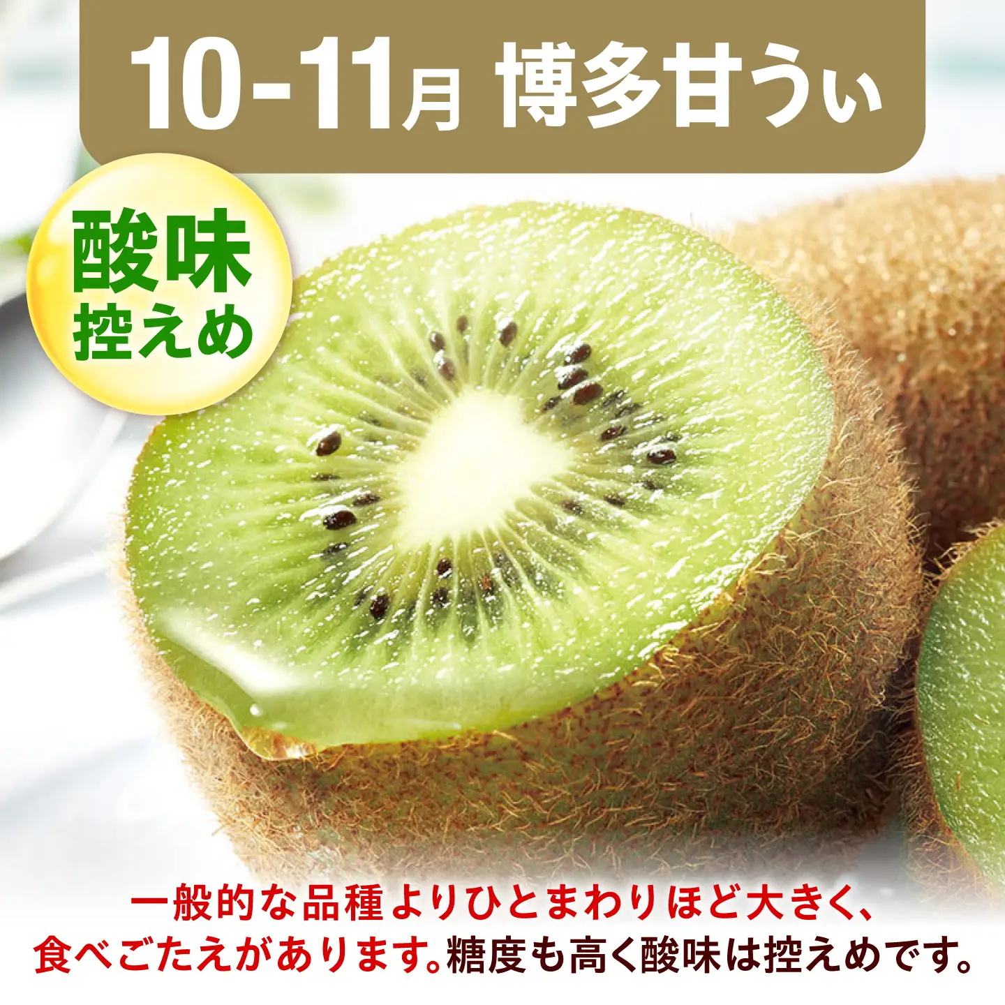 【3回定期便】フルーツ定期便（ぶどう/シャインマスカット/キウイ） 広川町 / JAふくおか八女農産物直売所どろや[AFAB126]