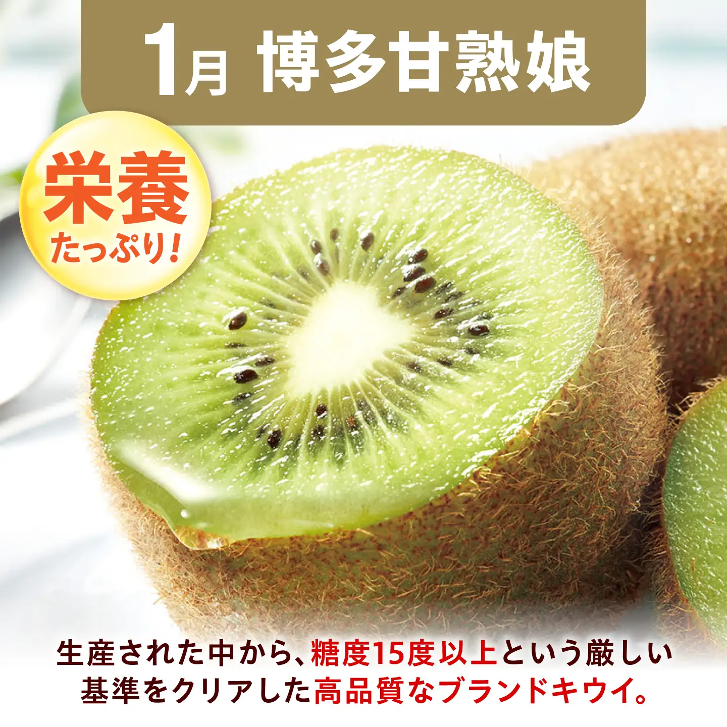 【3回定期便】フルーツ定期便（シャインマスカット/柿/キウイ） 広川町 / JAふくおか八女農産物直売所どろや[AFAB127]