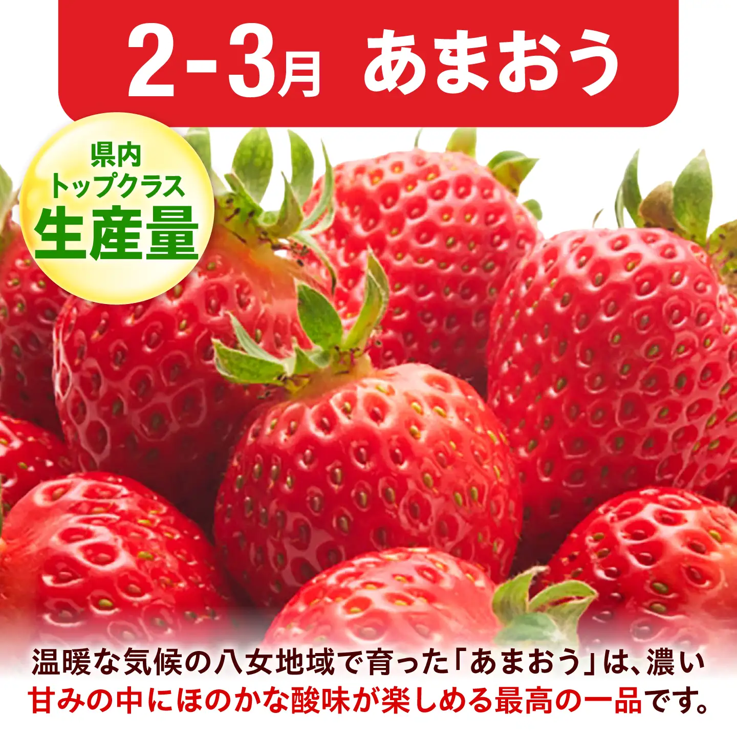 【3回定期便】フルーツ定期便（柿/キウイ/あまおう） 広川町 / JAふくおか八女農産物直売所どろや[AFAB128]