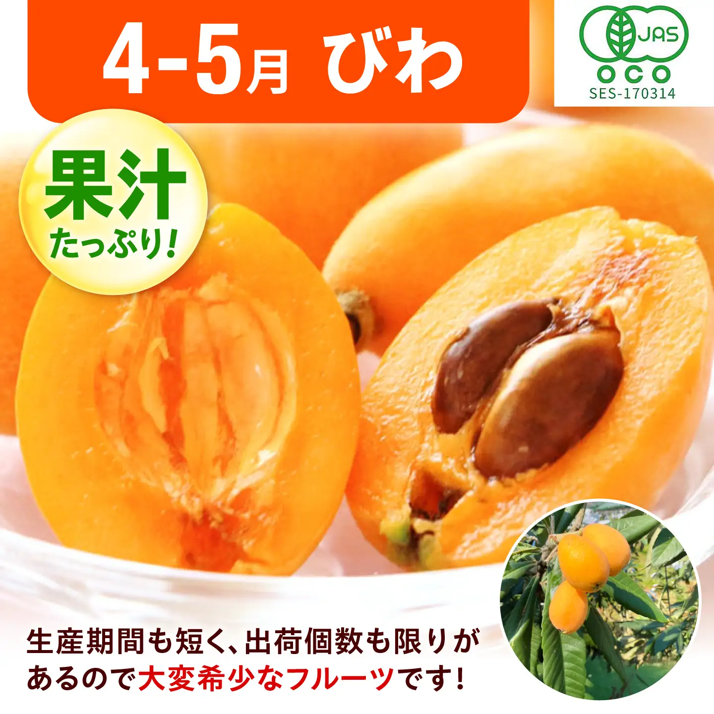 【3回定期便】フルーツ定期便（キウイ/あまおう/びわ） 広川町 / JAふくおか八女農産物直売所どろや[AFAB129]