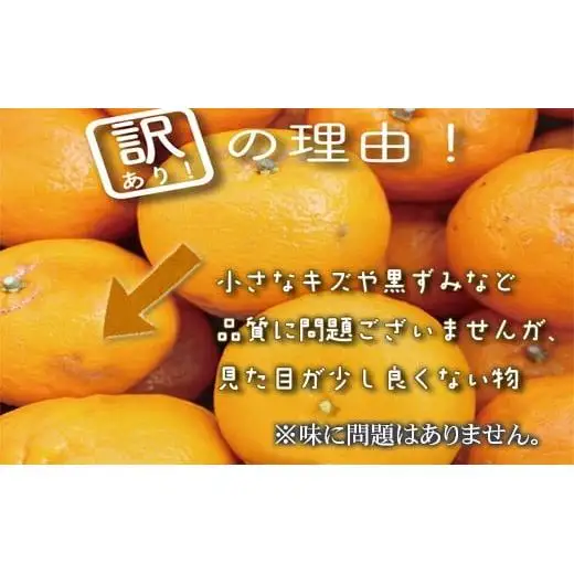 【早期予約開始】 1月中旬より順次発送 ポンカン 訳あり 10kg サイズ混合 家庭用 立目 ブランド 果物 フルーツ 冬 柑橘 2026年 収穫分 みかん 蜜柑 デザート 高知県 須崎市 TMS005