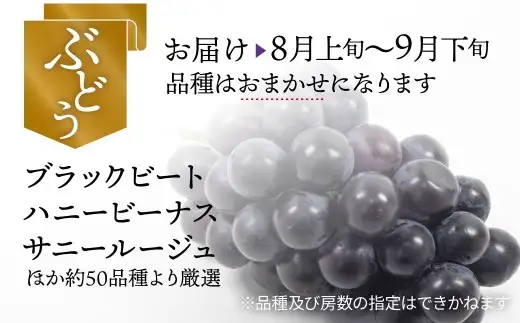 【ふるなび限定】フルーツ 食べ比べ 4kg 桃 ぶどう 定期便 フルーツ FN-Limited-WE
