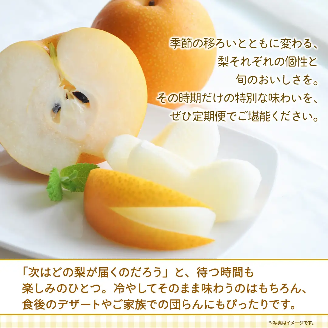 【定期便】3か月連続でお届け！ 旬の梨 おまかせ 約3kg（茨城県共通返礼品 [梨]：大子町産）