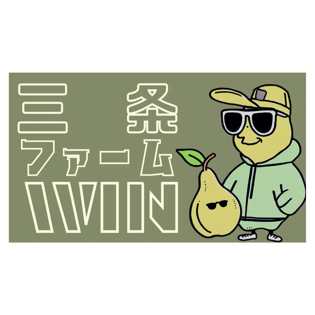 先行予約 豊水 自家用 約3kg 令和8年度 新潟フルーツ 新潟県産 梨 三条ファームWIN