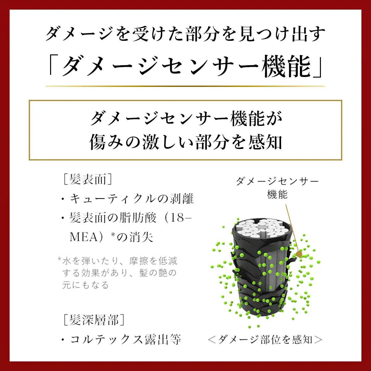 TSUBAKI 定期便 3ヶ月に1回 900mL 各2個 シャンプー コンディショナー