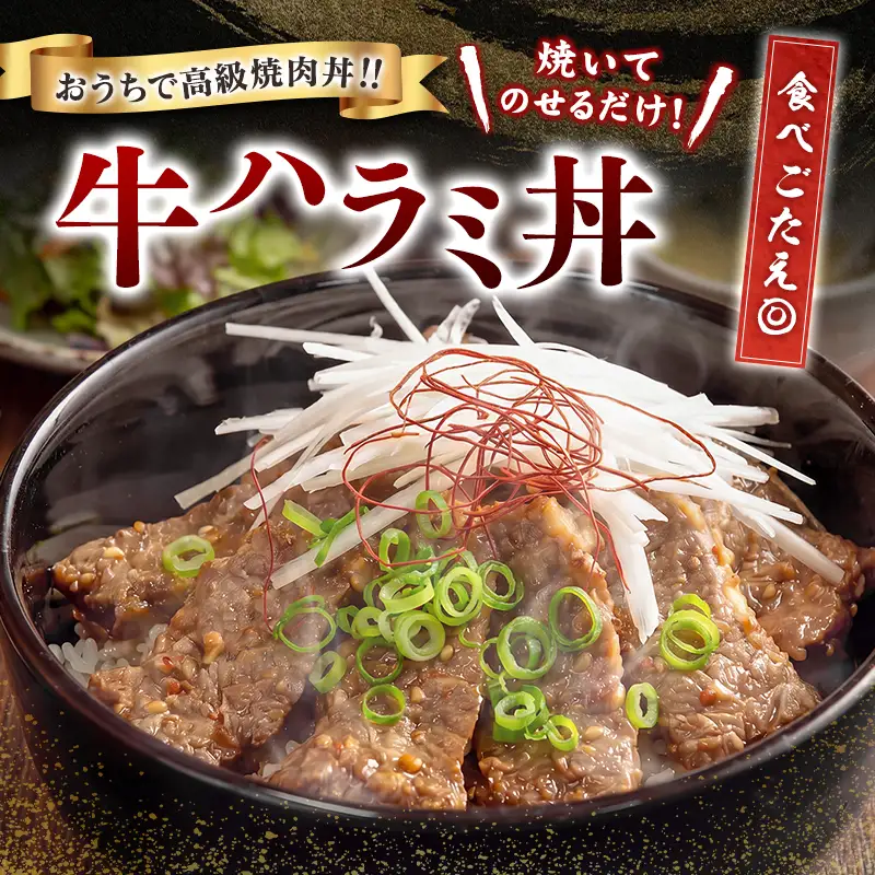 牛 ハラミ 600g（200g×3袋）