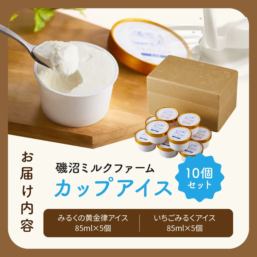 磯沼ミルクファーム　カップアイス10個セット（2種各5個）