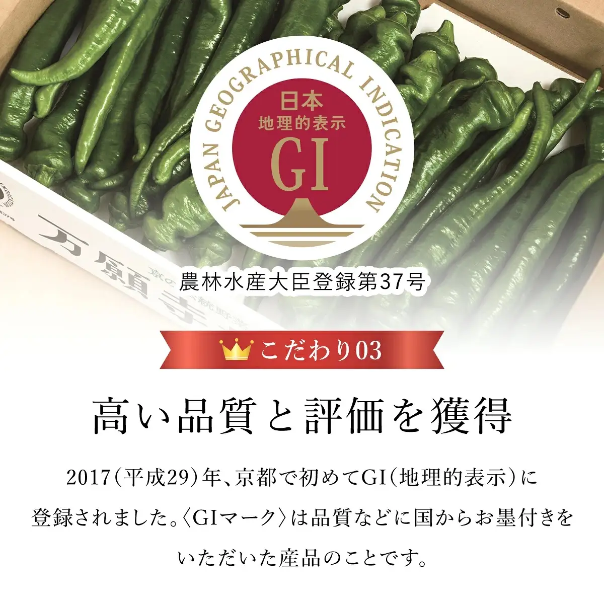 ＜2026年7月より順次発送予定＞ 万願寺甘とう 化粧箱入 秀品 計1.2kg 150g×8袋 京都丹の国農業協同組合