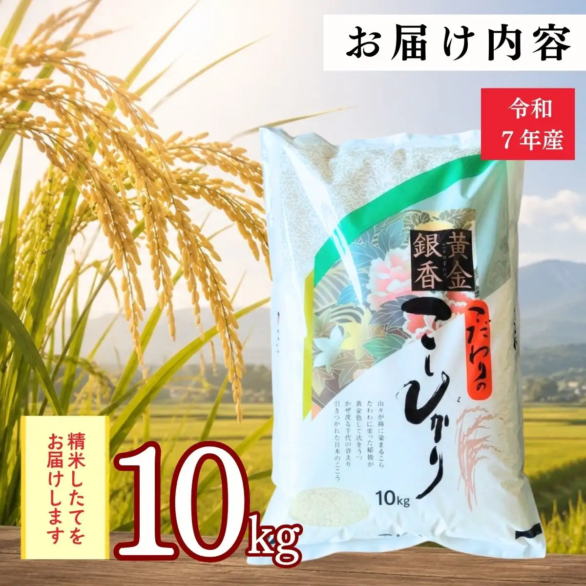 【令和7年産】黄金銀香 飯山産 コシヒカリ 精米 10kg（10kg×1袋）