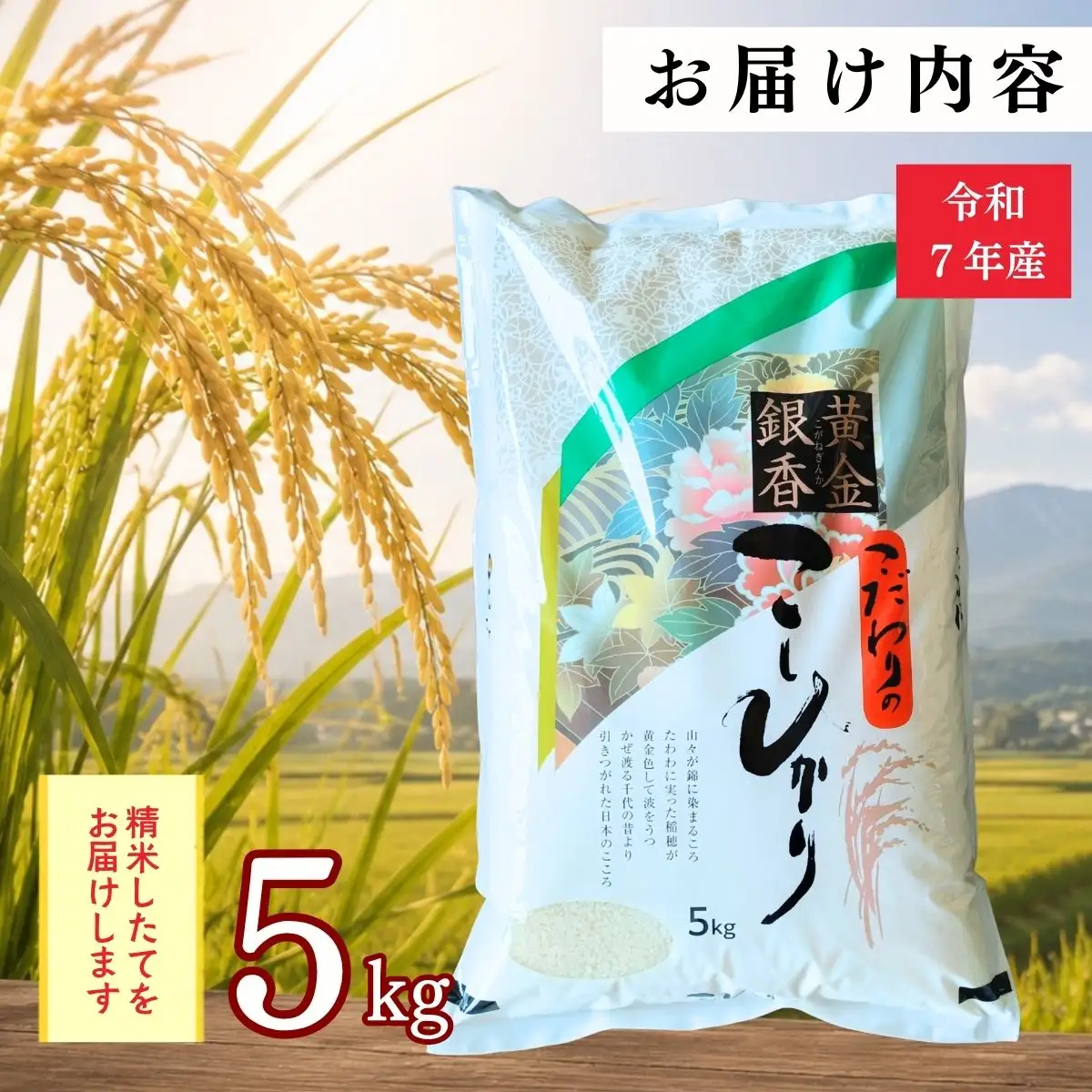 【令和7年産】黄金銀香 飯山産 コシヒカリ 精米 5kg（5kg×1袋）
