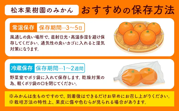 極早 生 みかん 夢っこ（日南の姫） 約5kg 《9月中旬-9月下旬出荷予定》果物 フルーツ ミカン 蜜柑 柑橘 生産者直送 産地直送 天草 苓北 送料無料 熊本県