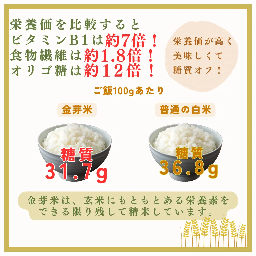 【2026年米 先行予約】金芽米 生坂村産コシヒカリ 無洗米 10kg(5kg×2袋) 長野県産 | コシヒカリ
