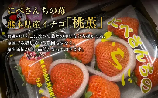 にべさんちの苺 熊本県産イチゴ桃薫(とうくん) 約400g 【2027年1月下旬発送開始】