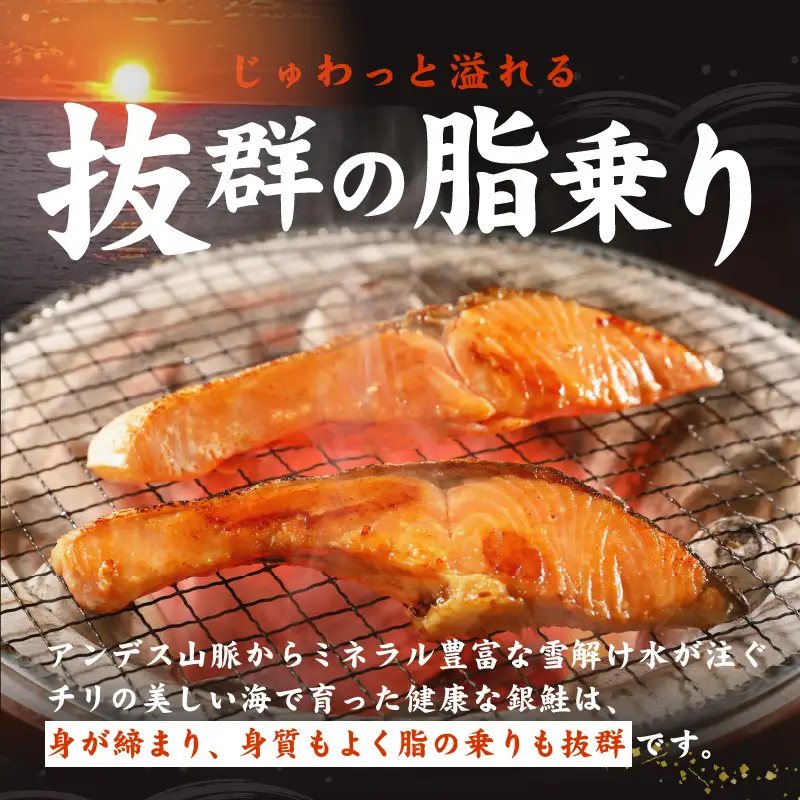 【定期便】熟成 銀鮭 切り身 辛口塩味 合計 1.5kg（約13切れ前後）全6回