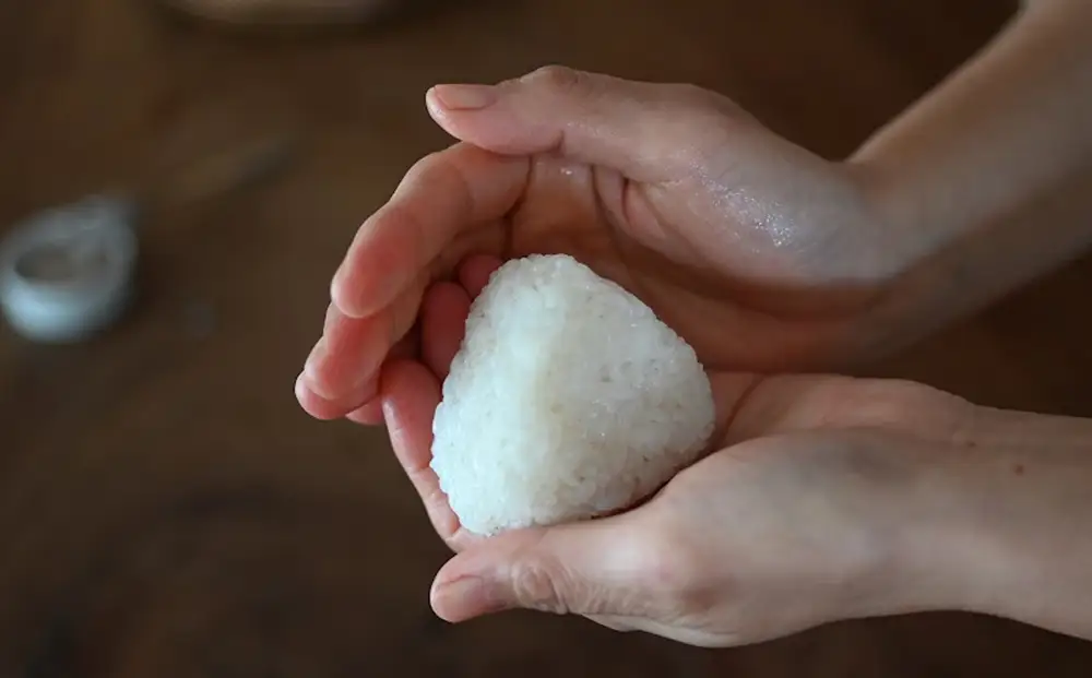 御米（10kg）コシヒカリ 精米