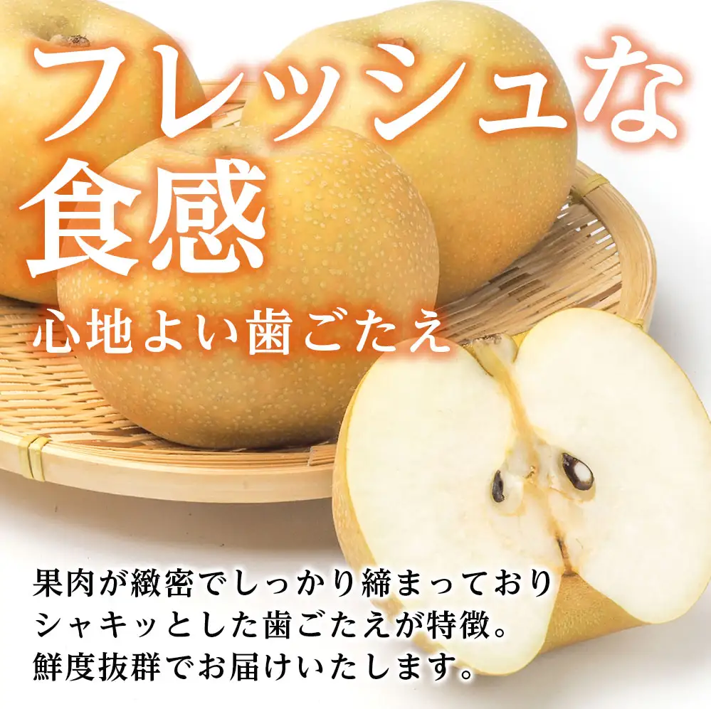 南水 3kg箱
