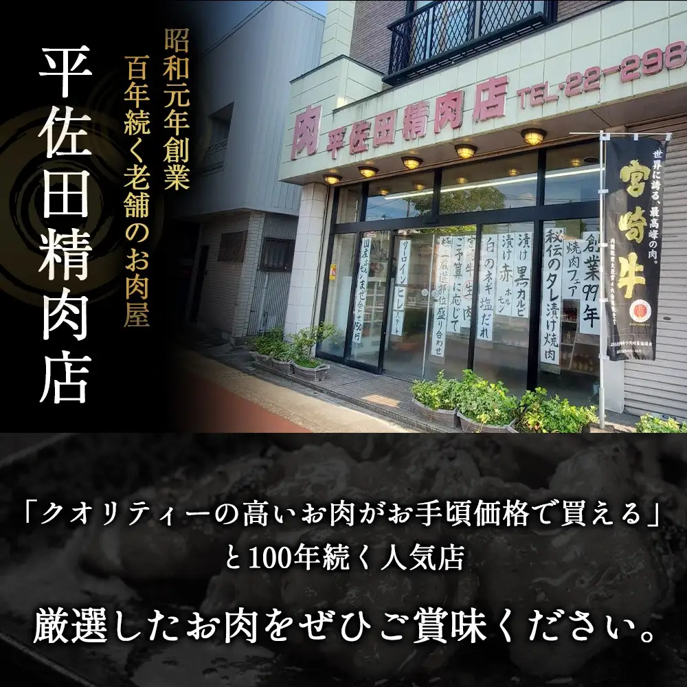 宮崎牛サイコロステーキ オリジナルカット600g(宮崎牛 牛肉 国産牛 サイコロステーキ ステーキ 焼肉 赤身)