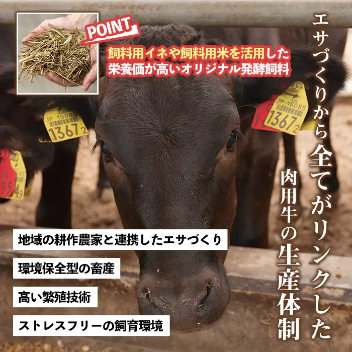 No.1375 鹿児島県産 黒毛和牛切り落とし(計300g) 牛肉 切落し 切り落し 和牛 冷凍 鹿児島産 国産 小分け 国産牛 お肉 牛丼 野菜炒め カレー 冷凍 寄附額改定 小分け 【LRプラスK】