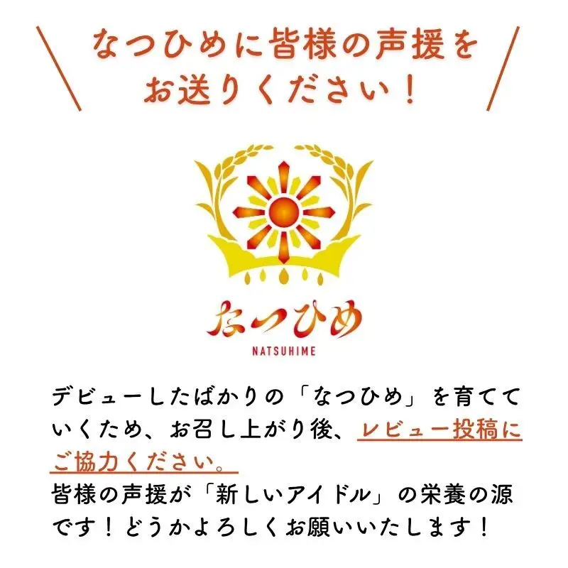 令和8年産 新米 新ブランド 【なつひめ】 新潟県上越市産 5kg 5キロ 先行予約 新品種 蛍の里